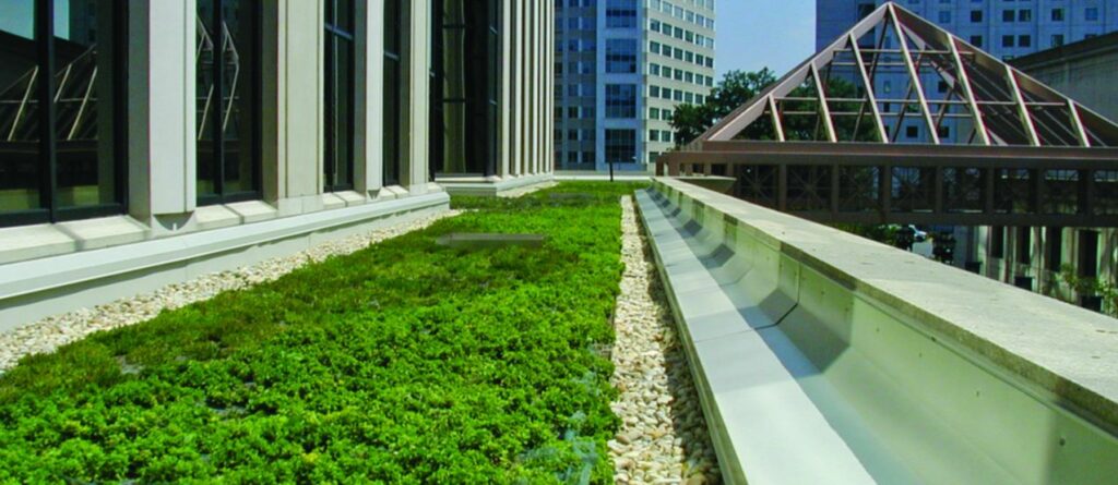 Benefits of Building a Green Roof