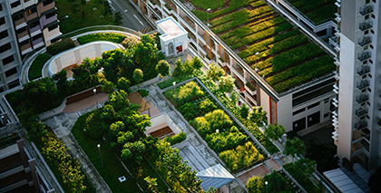 Break Up the Urban Effect with a Green Roof from Eagle Rivet